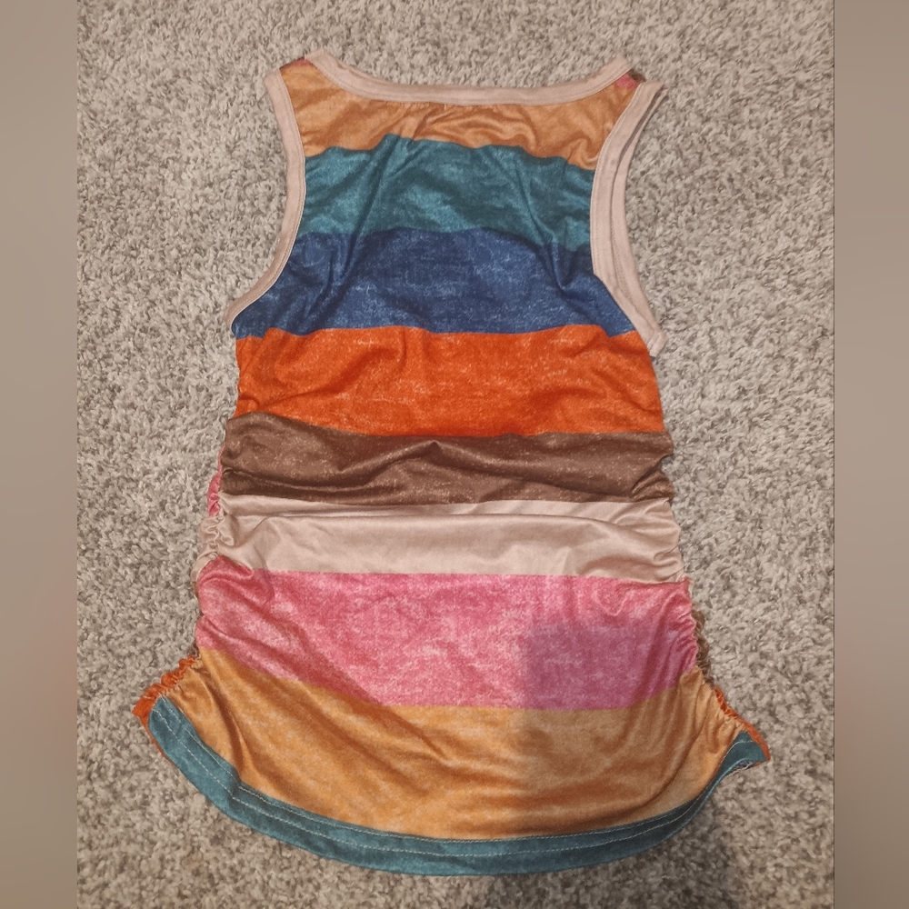Rustic Earth Tone Striped Ruched Tank Top